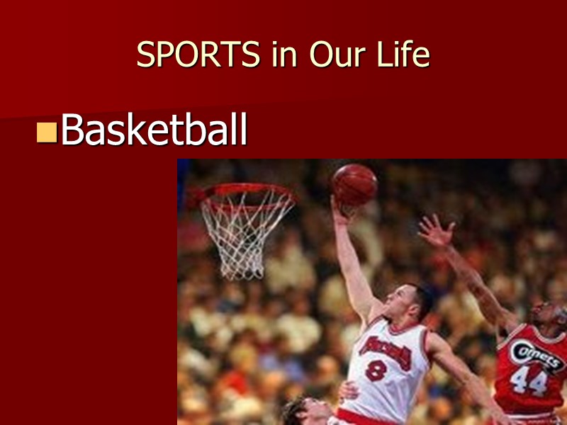 SPORTS in Our Life Basketball